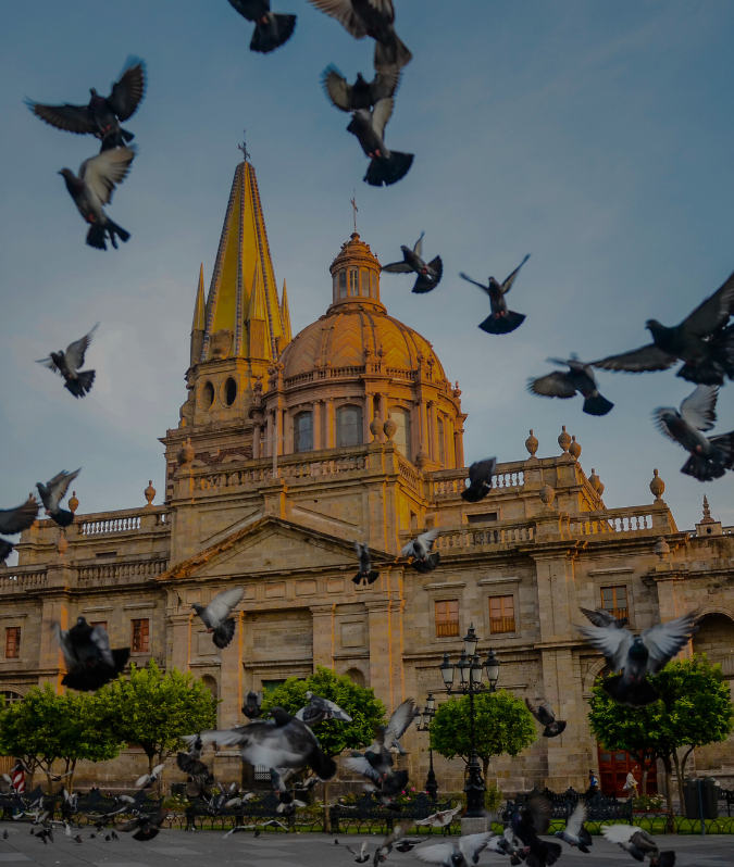 guadalajara